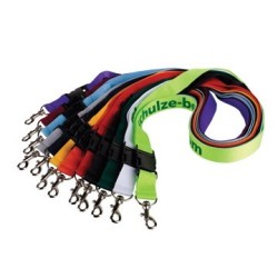 Lanyard